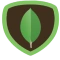 MongoDB